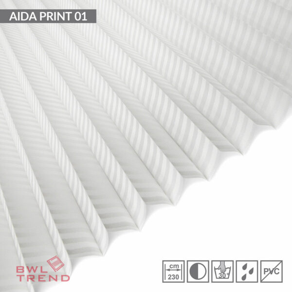 Aida print 1