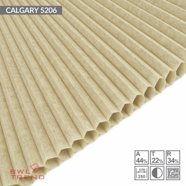 Calgary 5206