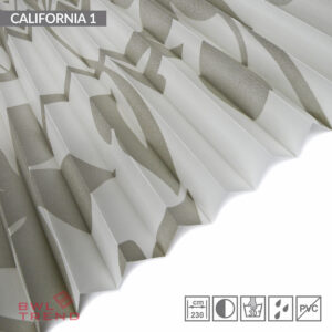 California 1