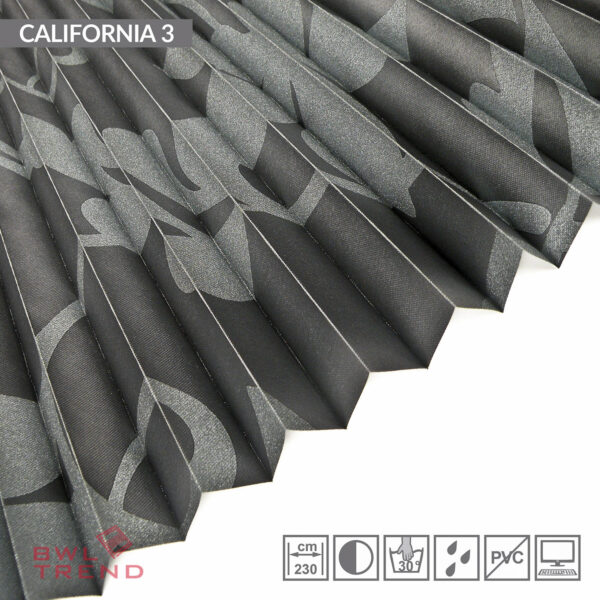 California 3