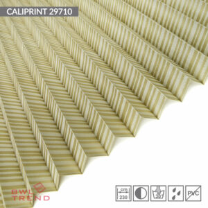 Caliprint 29710