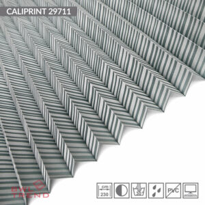 Caliprint 29711