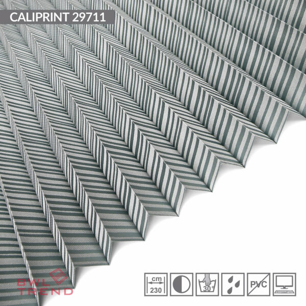 Caliprint 29711