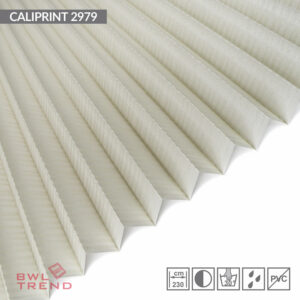 Caliprint 2979