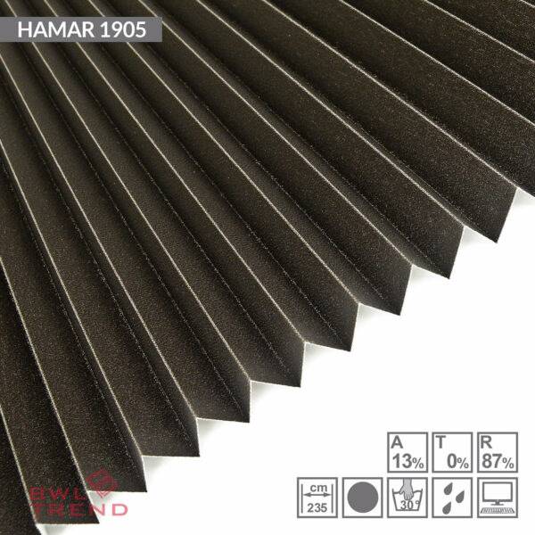 hamar-1905