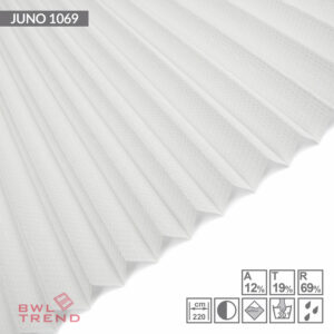 Juno 1069