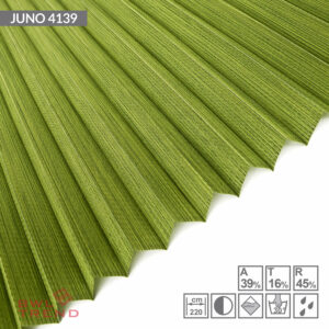 Juno 4139