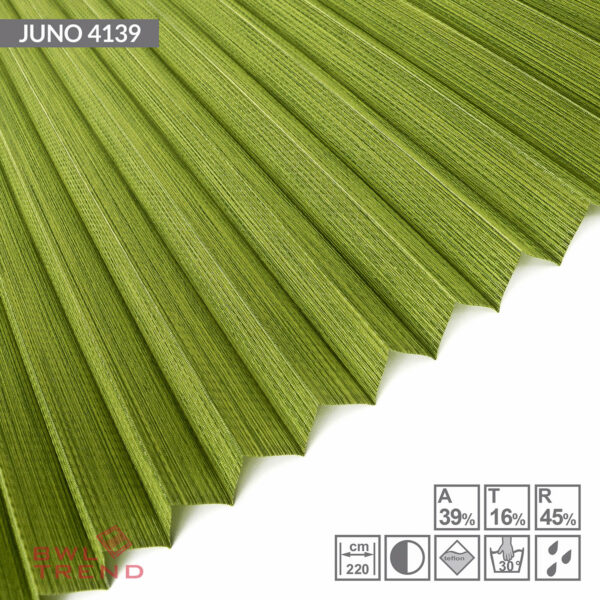 Juno 4139