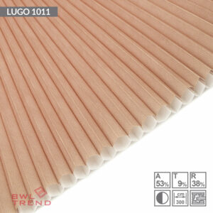 Lugo 1011