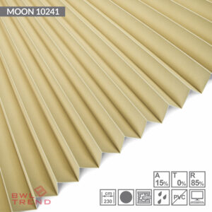 moon-10241