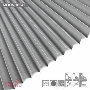 moon-10242