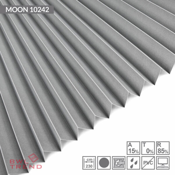 moon-10242