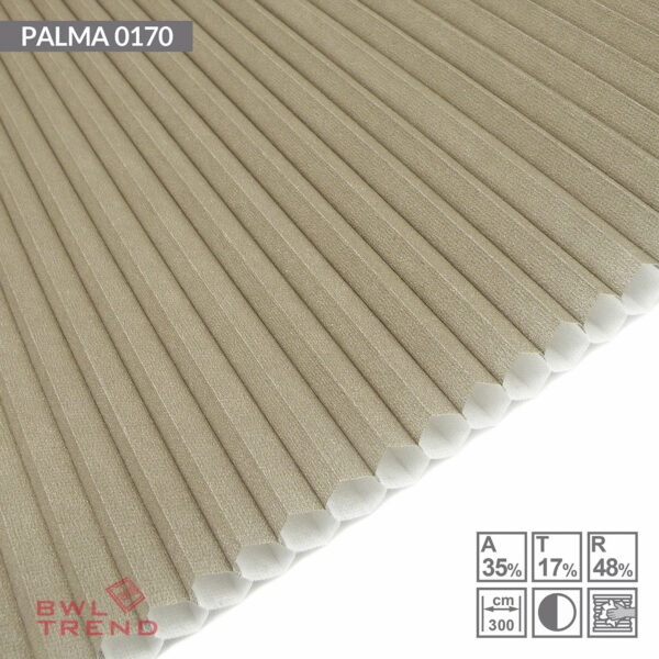 Palma 0170