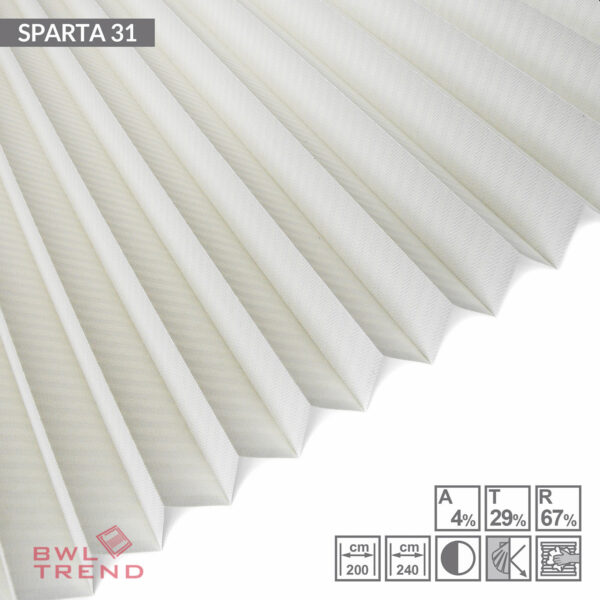 Sparta 31