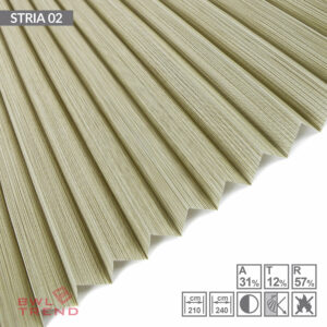 stria-02