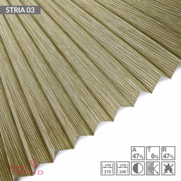 stria-03